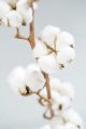 Des fleurs décoratives