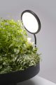 Studio Figuera/Goula