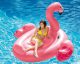 Intex