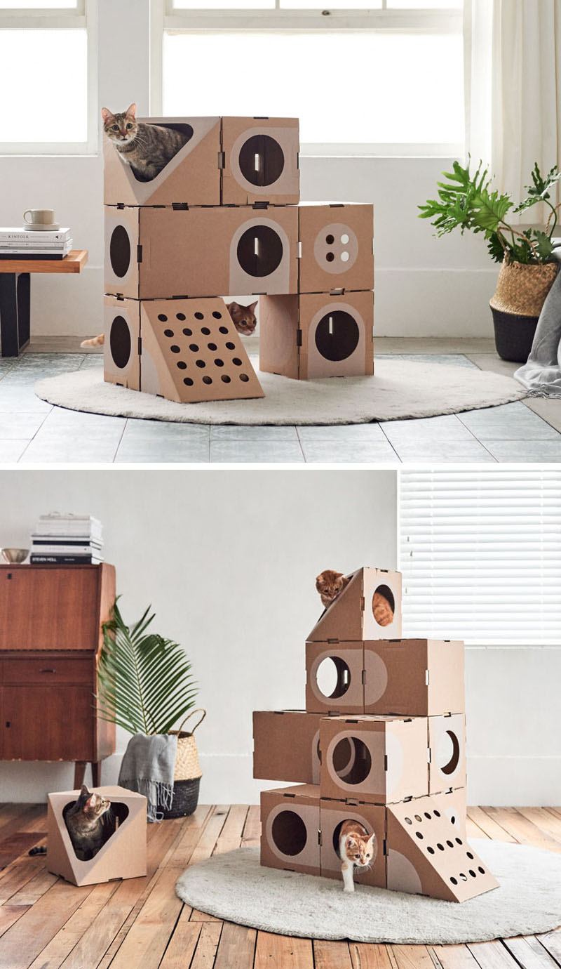 Photos de constructions version tour ou château avec de nombreux cartons. CP. A Cat Thing