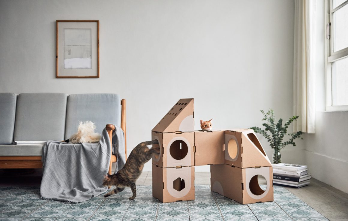 Une petite maison est crée avec les différents blocs où les chats ont le choix d'aller et venir ou simplement d'observer ce qui les entoure en passant leur tête à travers les trous. CP. A Cat Thing