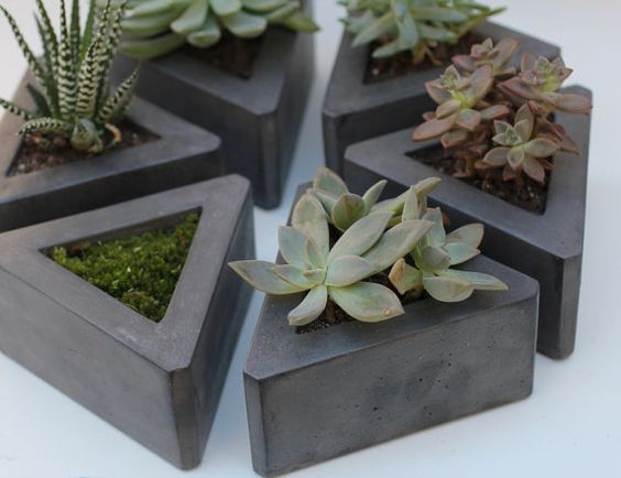 Petites jardinières en forme de triangles avec différentes plates diy béton