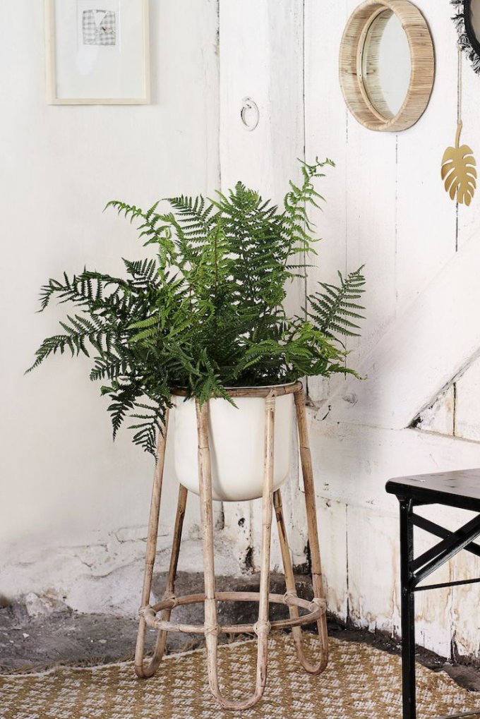 Un cache-pot en rotin qui permet de mettre les plantes en hauteur tout en leur appuyant leur influence sur la décoration. 