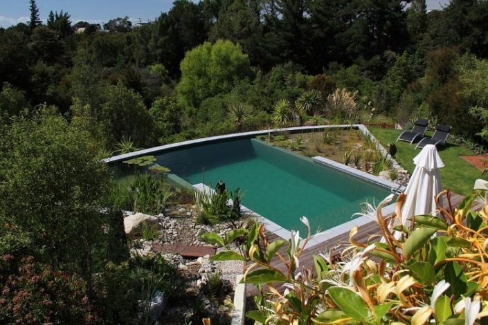 piscine ecologique en nouvelle-zelande inspiration piscines naturelles