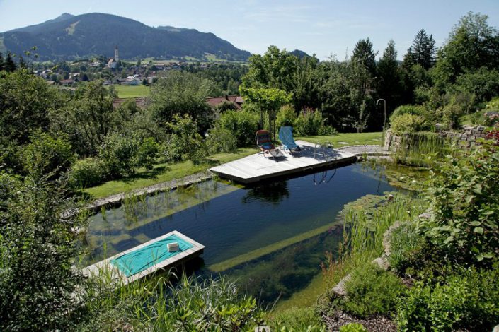 Une piscine dans la verdure