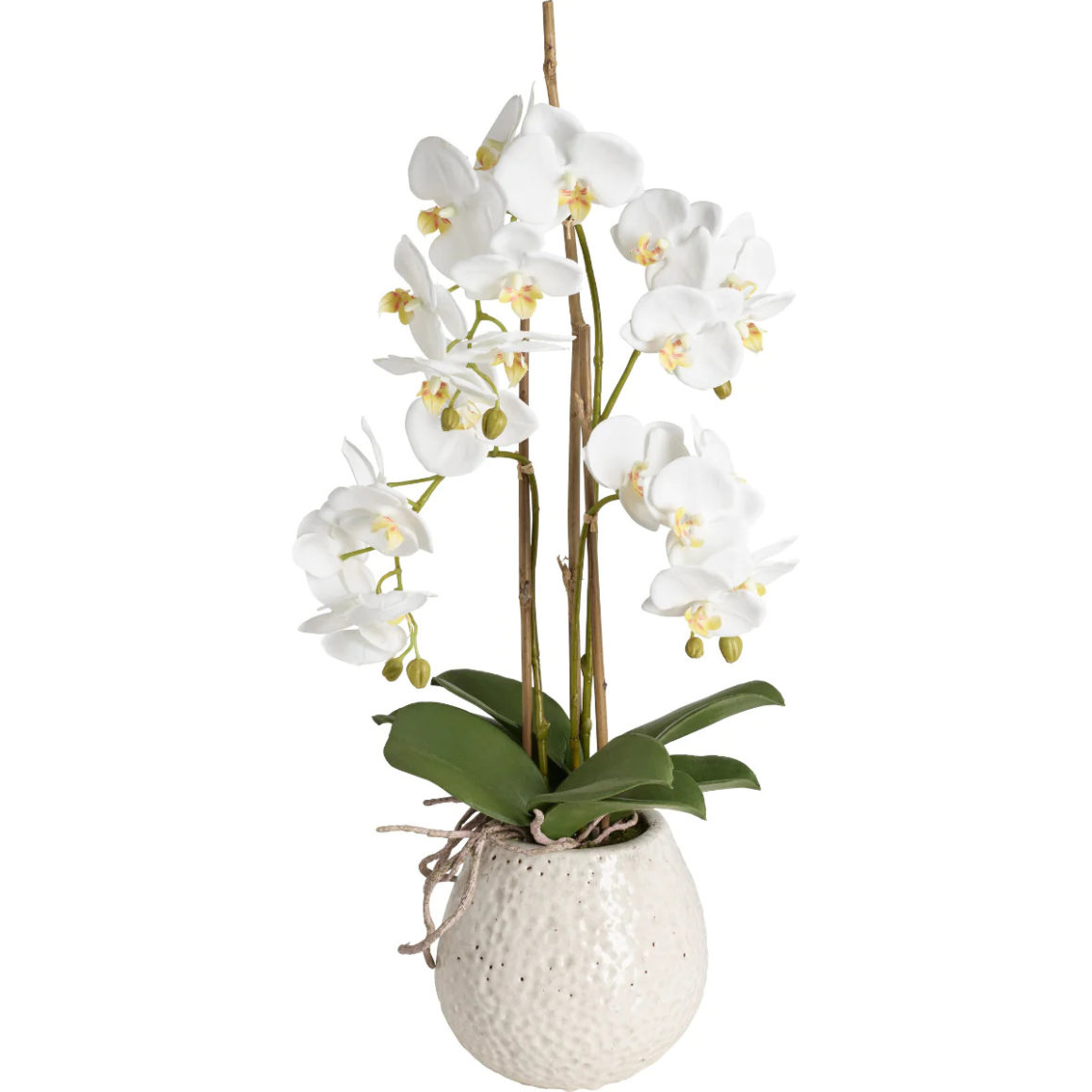 Orchideee-artificielle-Sia-deco